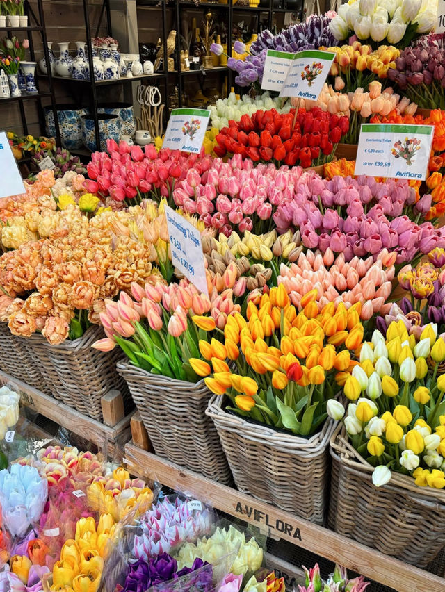 Amsterdam in Spring — A City Where the Season Comes to Life 🌷✨