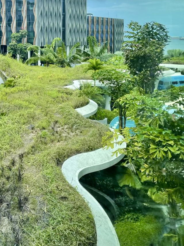 싱가포르 센토사 섬의 자연경관과 🏝️푸른 수영장이 멋진 센토사섬 여행지추천🩵