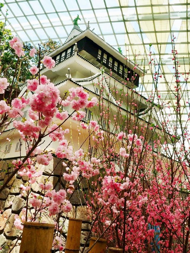 Blossom Seasons 