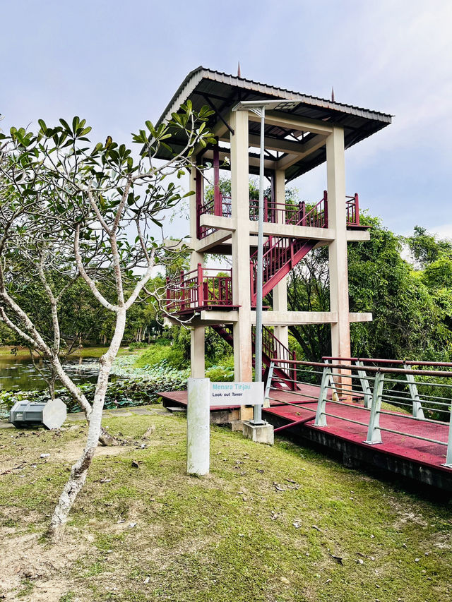 Tranquil Escape at Taman Tasik Cyberjaya