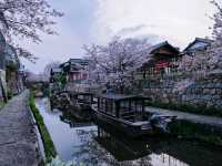 Cherry Blossoms + Old-Timey Canal 