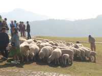 Akha framville 