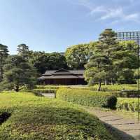 皇居東御苑 (Imperial Palace East Garden, Otemachi)