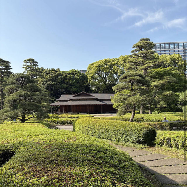 皇居東御苑 (Imperial Palace East Garden, Otemachi)
