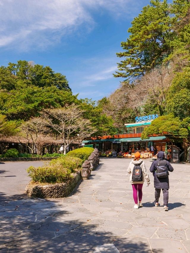 천지연폭포