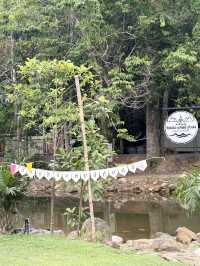 วังปริง แคมป์ ทุ่งสง 🏕️ - ที่พักติดลำธาร
