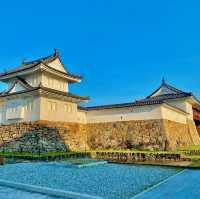 MAIZURU PARK | CHERRY BLOSSOMS AROUND FUKUOKA CASTLE RUINS 🌸🏯✨
