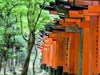 Fushimi Inari Shrine: Kyoto’s Iconic Path of a Thousand Torii