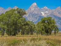 Majestic Views on the Jenny Lake Loop Trail