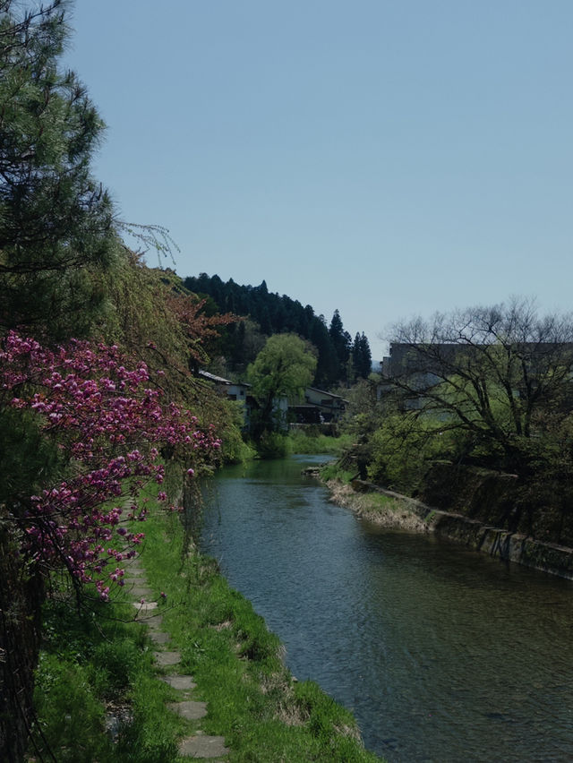 🏮 江戶時代の風情が残る町並み：飛騨高山の古い町並み 🏯🍶