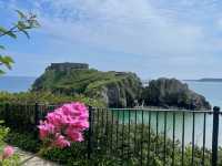 Tenby Looking ‘Pawsitively’ Tropical – A Slice of Paradise in Wales