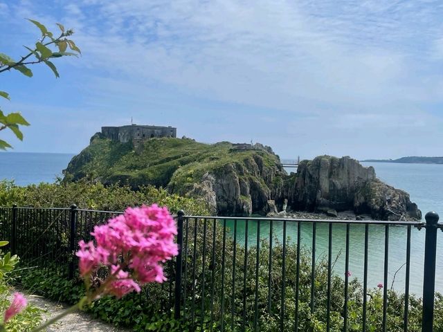 Tenby Looking ‘Pawsitively’ Tropical – A Slice of Paradise in Wales