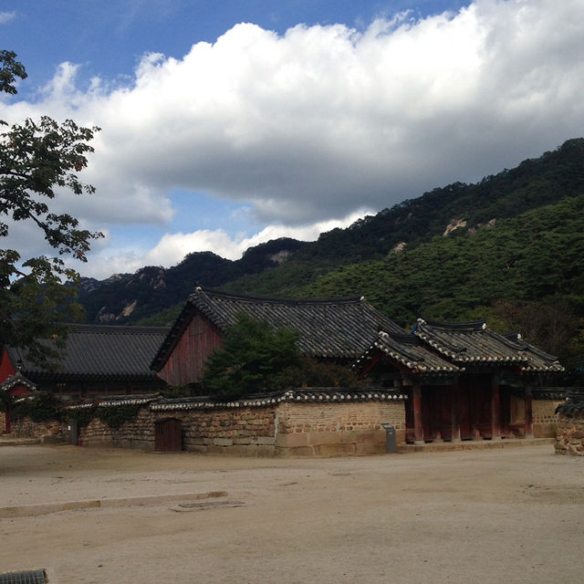 휴양림 힐링과 속리산 법주사 1박 2일 코스