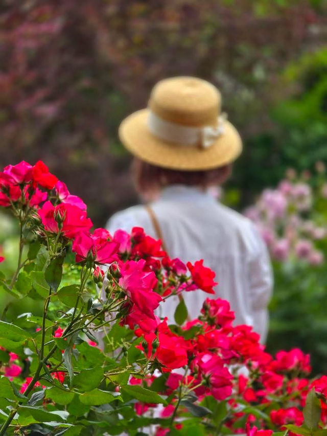 横浜🌹素敵な癒しのスポット🌹港の見える丘公園🥰