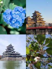 🗾 "From Himeji to Matsumoto, every turr