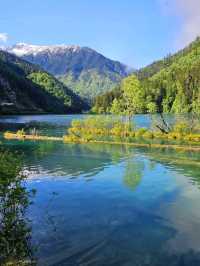 Lakes, Waterfalls & Spring Zen