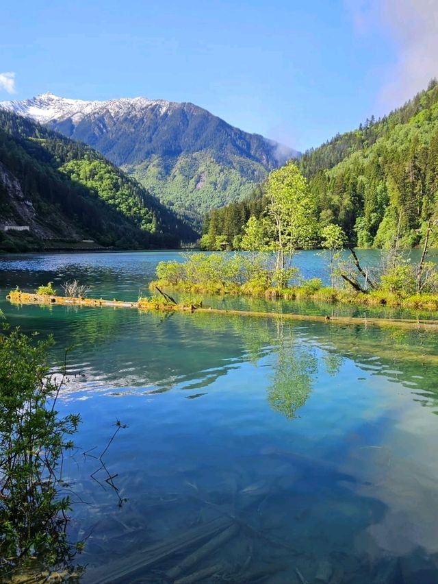 Lakes, Waterfalls & Spring Zen