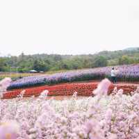 Floryday Khaoyai : Café & Flower