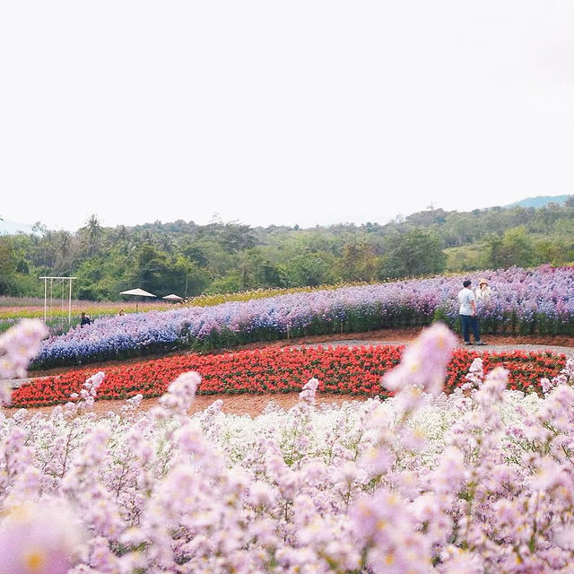 Floryday Khaoyai : Café & Flower