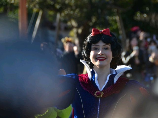 ディズニーランドのパレードが豪華すぎた！✨