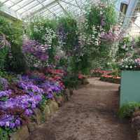 Spring Visit to Fitzroy Gardens, Melbourne 