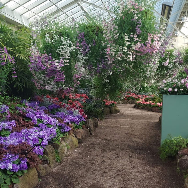 Spring Visit to Fitzroy Gardens, Melbourne 