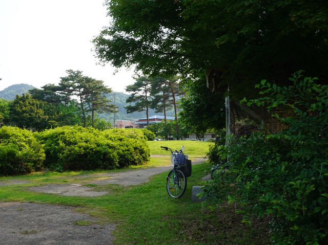 백제 웅진의 숨결 따라, 공주 반죽동 당간지주 산책🐾