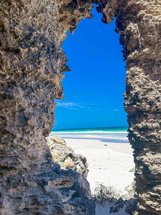 🏝️ Coastal Charm Unleashed: Fall in Love with Cottesloe Beach, Perth! 🌅🌊