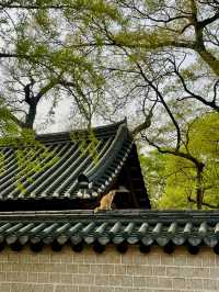 날 좋은 날 전주 한옥마을 산책