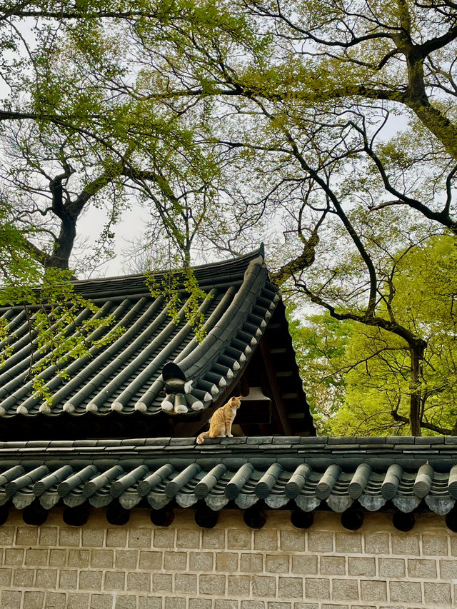 날 좋은 날 전주 한옥마을 산책