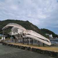 【和歌山】くじらの博物館