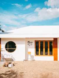 Spring 22 & Gallery 