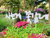 Yuseong Hot Springs Foot Bath Experience
