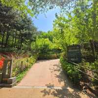 Climbing Wonjeoksan Peak