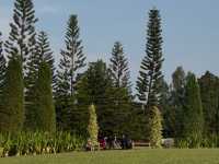 Taman Saujana Hijau: Where Dreams Go to Sweat