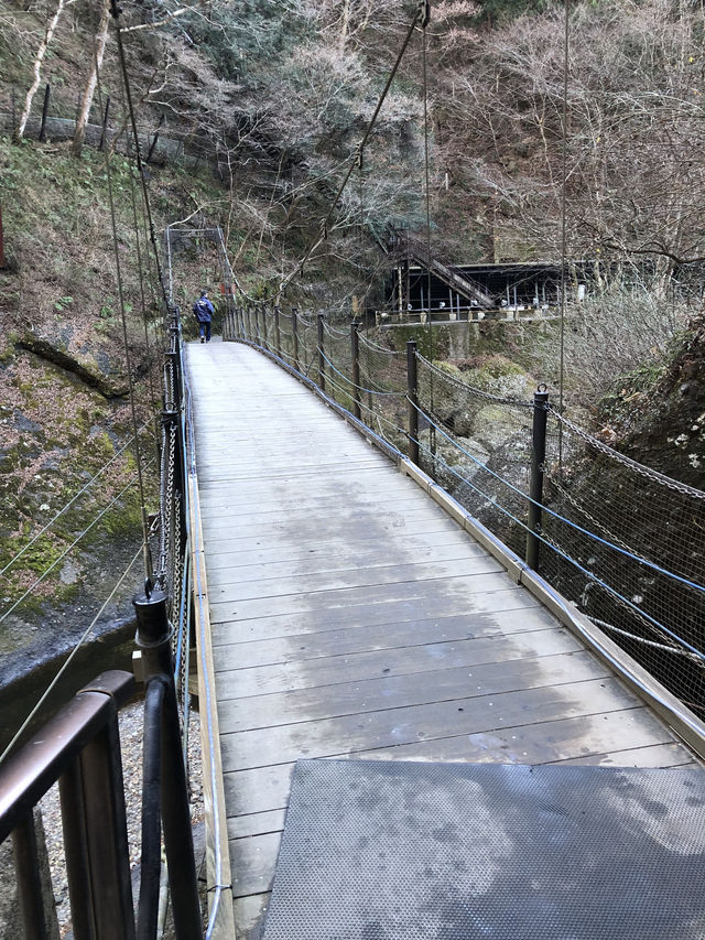 🏞️日本三名爆『袋田の滝』西行法師曰く「四度(よど)の滝」