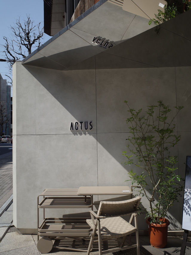 🏠【青山 アクタス青山店】インテリア×アートが織りなす“暮らしの舞台”🎨🛋️
