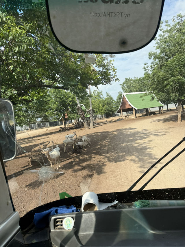 北碧府野生動物園