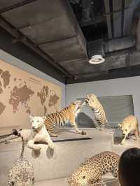 Shanghai Natural History Museum
