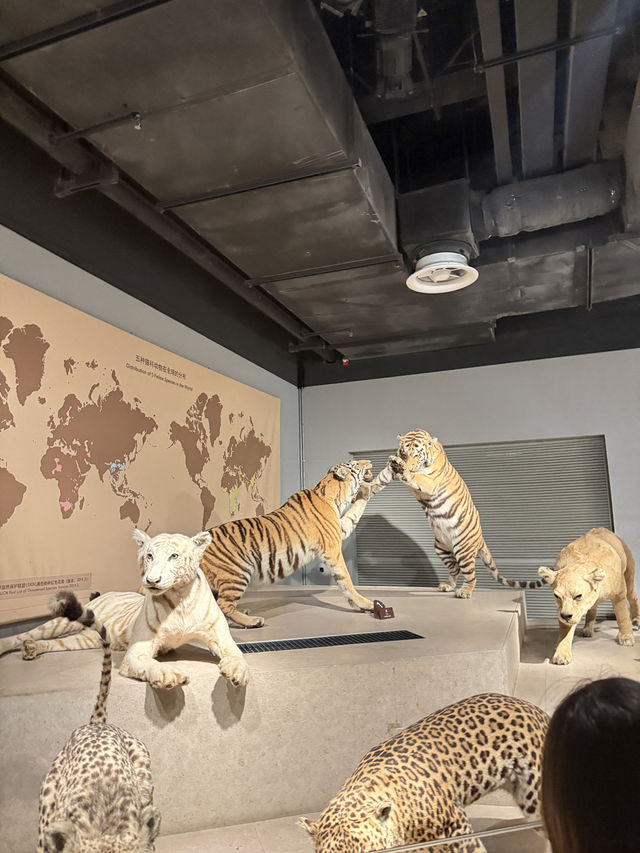 Shanghai Natural History Museum
