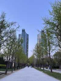 Seoul forest 서울숲 