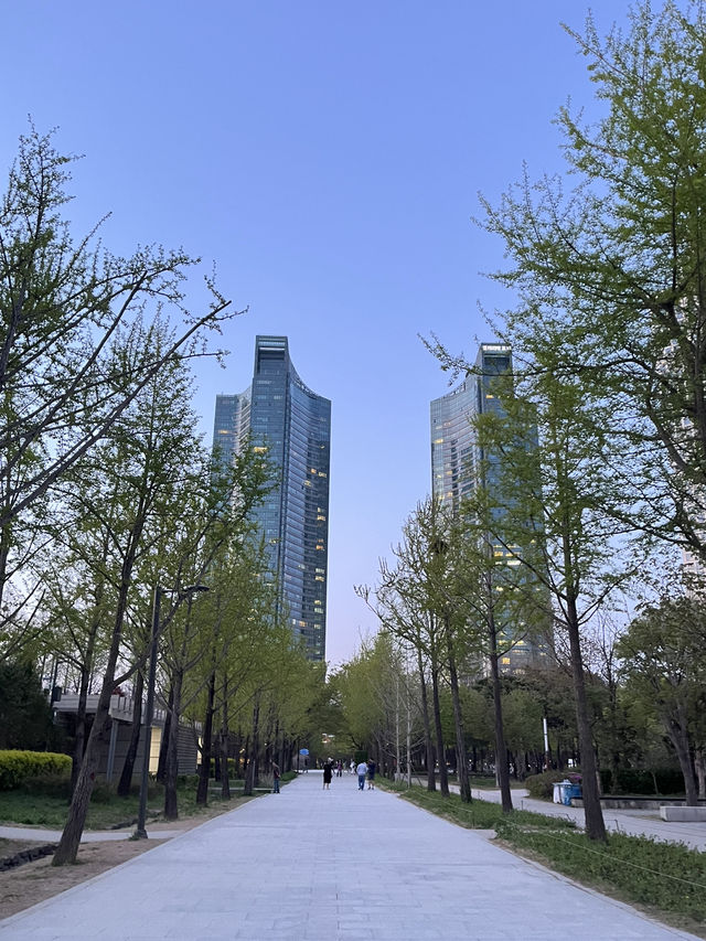 Seoul forest 서울숲 