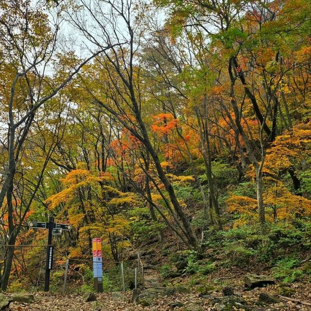 Stairs, Shrines & Sweet Views