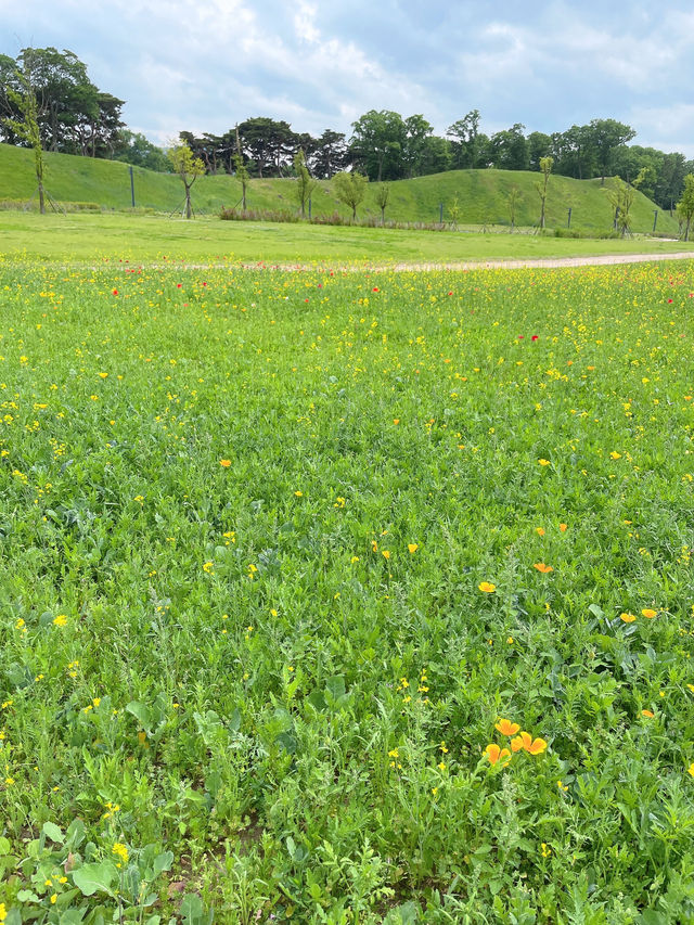 ｜韓國｜慶州瞻星臺경주 첨성대