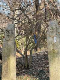 🏮 용인 한국민속촌 후기 📜 