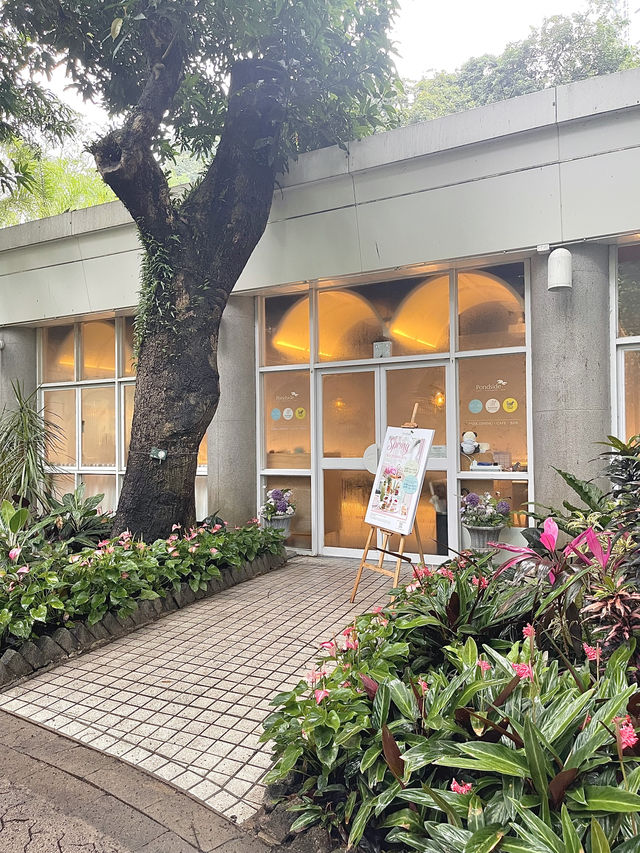 🇭🇰香港公園玻璃屋春日打卡下午茶🌸