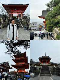 🇯🇵 Insta-worthy Shrines