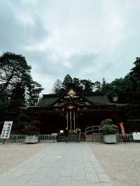 仙台　国宝・大崎八幡宮へ行くべき五つの理由🇯🇵✈️🌎 