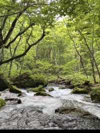 📍【青森・十和田湖】神秘の湖とアートが響き合う、静寂と感動の地