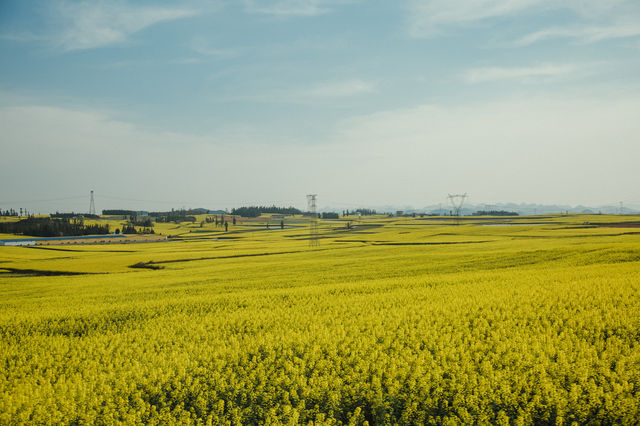 LUOPING IN SPRING 2025